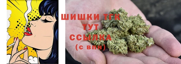 дживик Дмитриев
