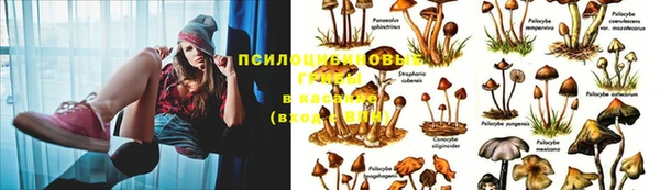 марихуана Дмитров