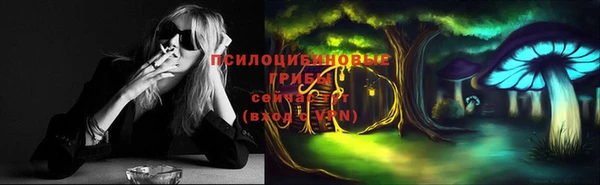 таблы Дмитровск