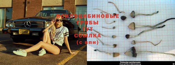 марихуана Дмитров