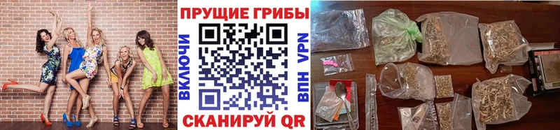 дарк нет телеграм  Казань  Псилоцибиновые грибы прущие грибы 