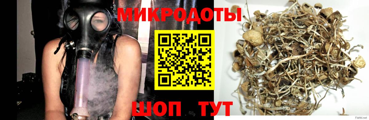 Галлюциногенные грибы MAGIC MUSHROOMS  Вход с VPN  Казань 